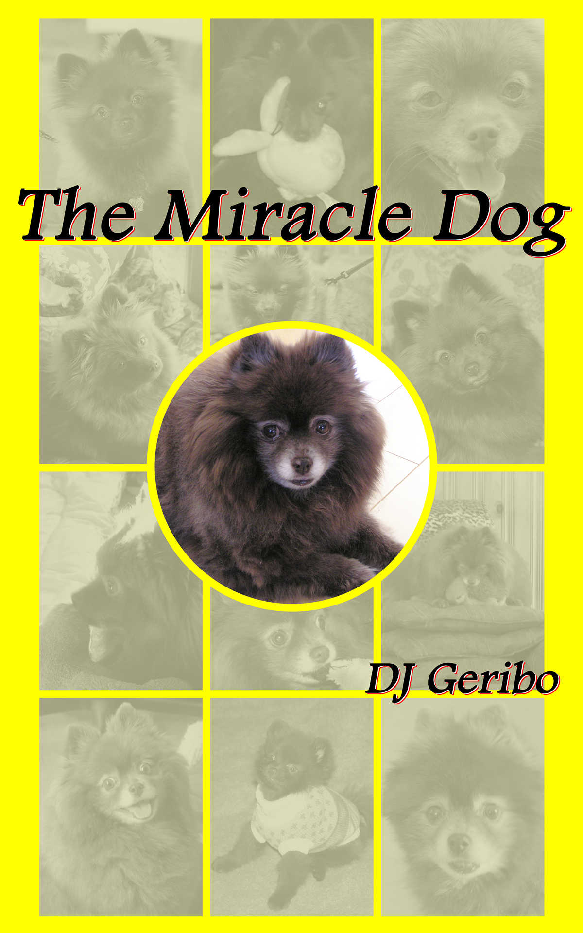 the miracle dog by dj geribo cover front web